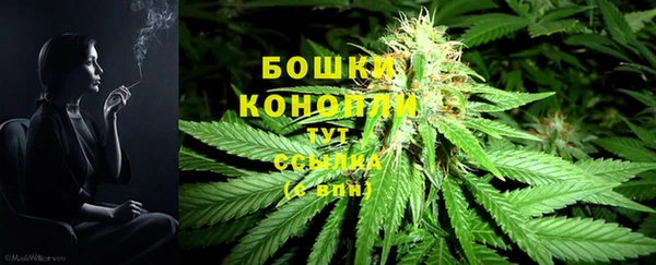ECSTASY Балахна
