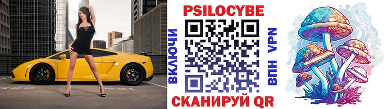 блэк спрут ONION  Среднеуральск  Псилоцибиновые грибы Psilocybe  как найти закладки 